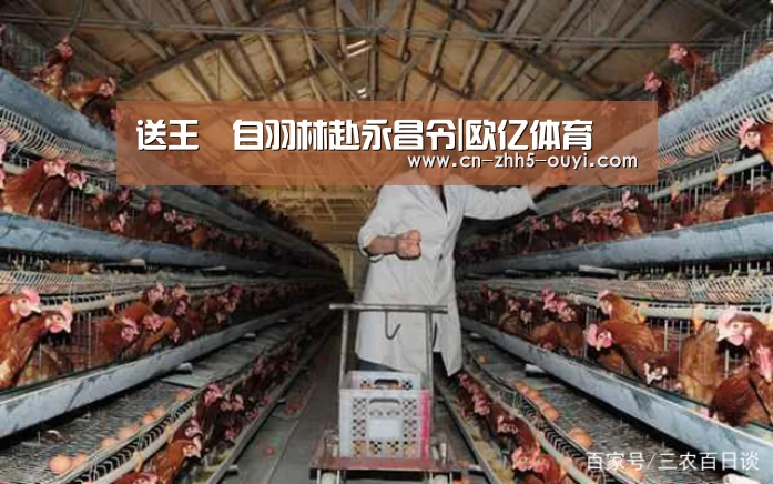 欧亿体育官网